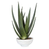 Uttermost – Evarado Aloe Planter 17×28 in Green Stone Accent Contemporary Tabletop Decor