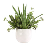 Uttermost Sundown Succulent Accent-Fresh Mix in Mottled Gloss White Ceramic Planter