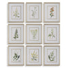 Uttermost 32339 Botanical Flowers Framed Prints Set of 9 in Champagne Frames with Linen Mats
