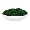 Preserved moss bowl centerpiece