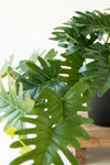 Mini artificial philodendron in black pot