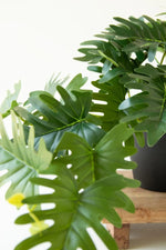 Kalalou Set of 6 Artificial Mini Philodendron Faux Potted Plant Black Pot Tropical 10"H