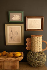 Kalalou Set of 3 Framed Bird Prints Under Glass Vintage Traditional 12"H