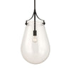 Dewdrop 1 Light Pendant with Clear Glass Shade