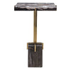 Petrified wood accent table
