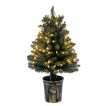 Vickerman K191126 26" Potted Tifton Cone Topiary Artificial Christmas Tree Clear Dura-Lit Lights