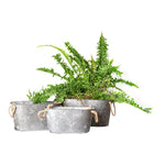 Metal Bucket – Bees Design Set of 3 (Gray Finish) by Manual Woodworkers