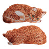 orange tabby cat pillow