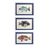 Fish Artwork Wall Hanging Set of 3 With Three Distinct Styles and Protective Glass by [Brand Name]
