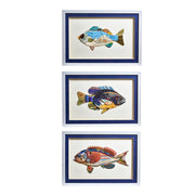 Fish Artwork Wall Hanging Set of 3 With Three Distinct Styles and Protective Glass by [Brand Name]