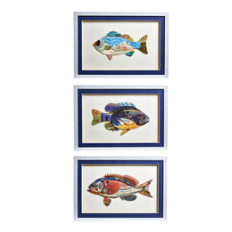 Fish Artwork Wall Hanging Set of 3 With Three Distinct Styles and Protective Glass by [Brand Name]