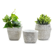 Basket Texture Plant Containers Set