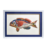 Fish Paper Collage Wall Decor Set of 3 With Detailed Marine Artwork by [Brand Name]