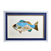 Aquatic Life Wall Art Set of 3 Fish Designs With Protective Glass and Hanging Hardware by [Brand Name]