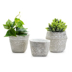 Cement Garden Planters Set of 3