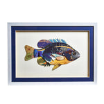 Underwater Theme Wall Art Set of 3 Fish Collages With Colorful Details and Glass Cover by [Brand Name]