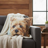 Silky Yorkie Dog 18" Pillow