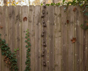 Garden Rainwater Chain