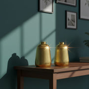 Ribbed Ceramic Vases
