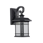 Chloe Lighting CH22L21BK13-OD1 Franklin Transitional Led Textured Black Outdoor Wall Sconce 13`` Height
