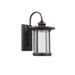 Chloe Lighting CH22L26RB13-OD1 Cole Transitional Led Rubbed Bronze Outdoor Wall Sconce 13`` Height