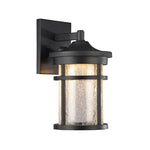 Chloe Lighting CH22L52BK11-OD1 Frontier Transitional Led Textured Black Outdoor Wall Sconce 11`` Height