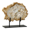 Cyan Design 02599 Petrified Wood On Stand, Medium