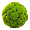 Cyan Design 02608 Moss Sphere, Large