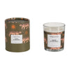 Sagebrook Home 80230 4" 7 Oz Tiger Boxed Candle