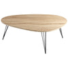 Cyan Design 06355 Lunar Landing Coffee Table