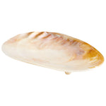 Cyan Design 09834 Small Abalone Tray