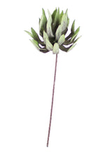 Kalalou CLX2925 Botanica #1125