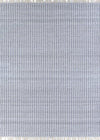 Couristan INLET SEA GIRT 8' X 10' Rectangular Indoor/Outdoor Transitional Rug