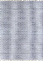Couristan INLET SEA GIRT 8' X 10' Rectangular Indoor/Outdoor Transitional Rug
