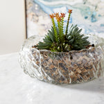 Cyan Design 10892 Glass Clearly Thorough Bowl