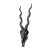 Sagebrook Home Ec, Antelope Skull Walldecor-Kd