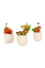 Kalalou CYF1349 Set Of Three Artificial Succulent Plants In A White Pot