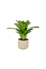 Kalalou CYF1351 16 In Artificial Succulent Plant In A Pot