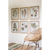 Botanical Leaf Wall Art – Set of Six Prints Under Glass