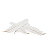 Sagebrook Home White/Gold Feathers Wall Decor
