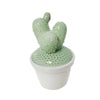 Sagebrook Home White/Green Cactus Box 6``