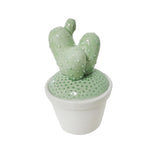 Sagebrook Home White/Green Cactus Box 6``