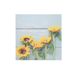 Sagebrook Home Sunflowers Canvas Print