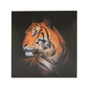 Sagebrook Home Tiger Canvas Print