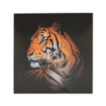 Sagebrook Home Tiger Canvas Print