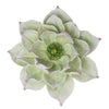 Sagebrook Home Green Lotus Wall Flower 14.25``
