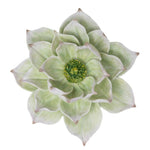 Sagebrook Home Green Lotus Wall Flower 14.25``