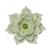 Sagebrook Home Green Lotus Wall Flower 11.25``