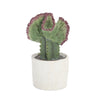 Sagebrook Home Green/Pink Potted Cactus 8``