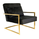Sagebrook Home Metal/Velveteen Arm Chair W/Pillow, Black/Gold